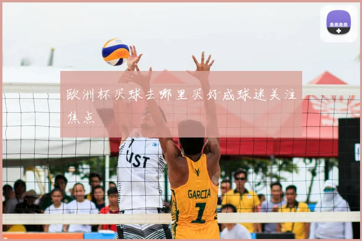 欧洲杯买球去哪里买好成球迷关注焦点
