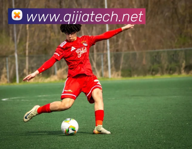 球王会·(中国)体育官方网站服务体系